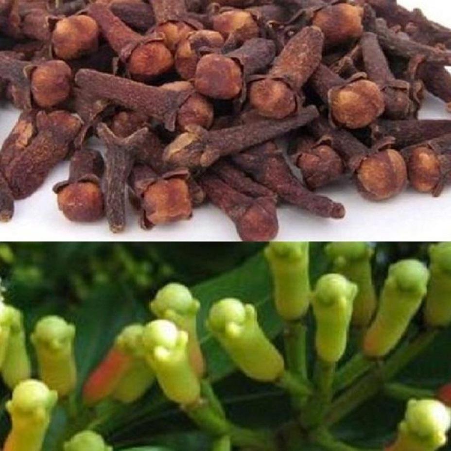 Đinh Hương (Nụ Đinh Hương Khô) Thảo Lộc  túi 200g