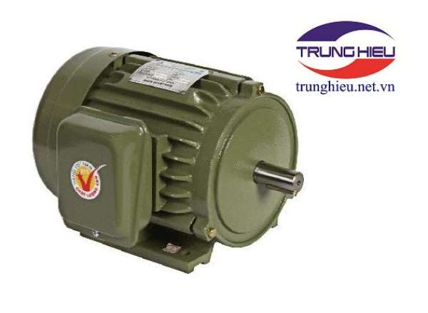 Motor vỏ gang chân đế Hồng Ký - JET 2.2KW