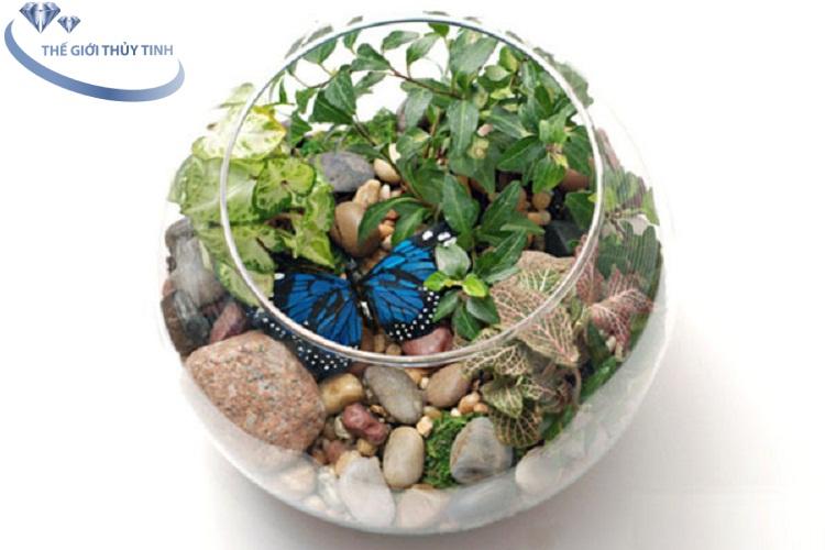 HỒ CÁ THỦY TINH BẦU BỂ CÁ D24cm x H16cm T02