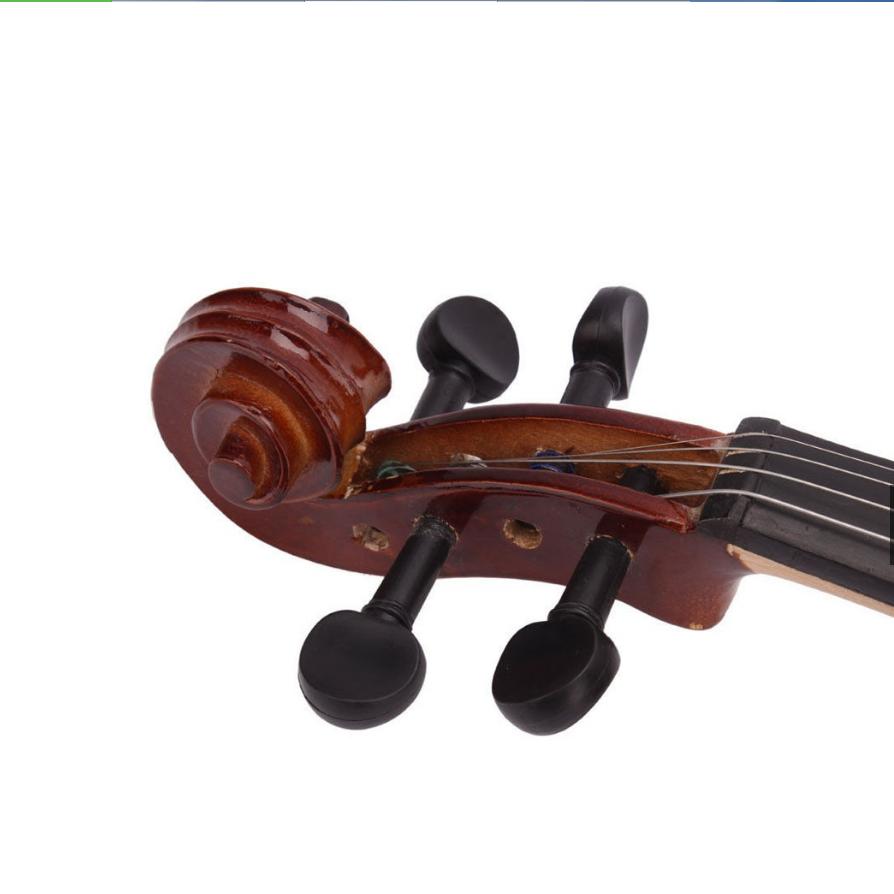 Đàn Violin Woim V10 Size 4/4