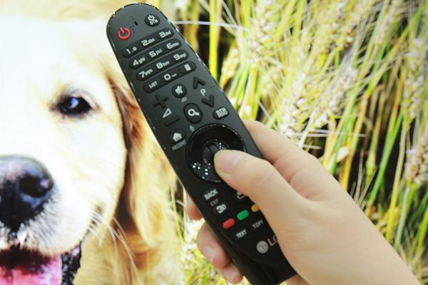Điều khiển lg magic 2016
