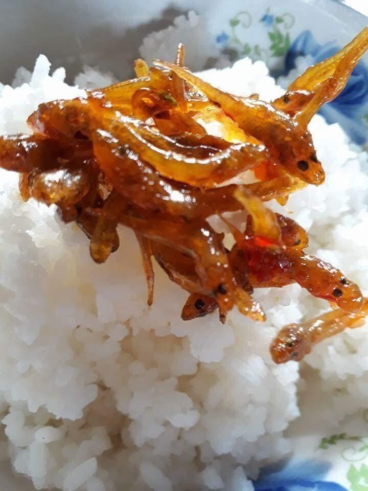 CÁ BỐNG SÔNG TRÀ ĐẶC SẢN QUẢNG NGÃI HIỆU KIM HỒNG HŨ 250G - ĐẶC BIỆT- Date mới