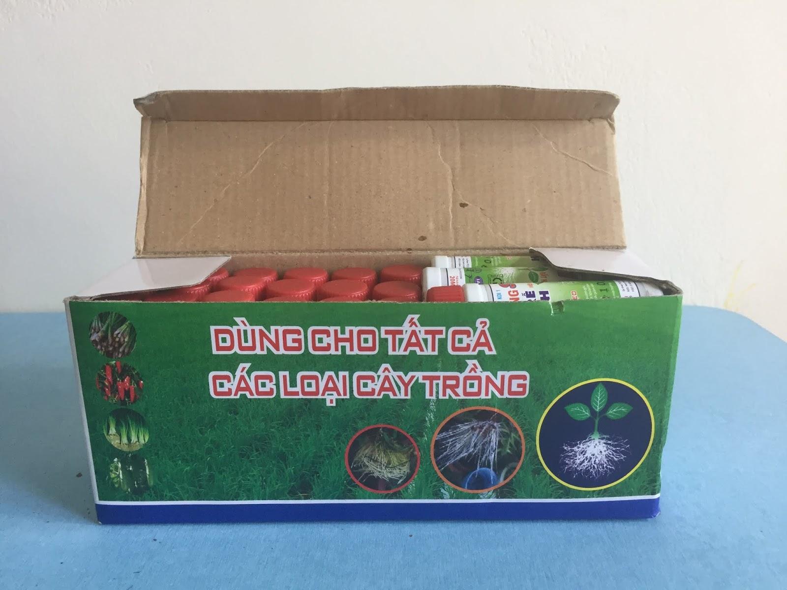 6 lọ Siêu ra rễ cực mạnh Root king