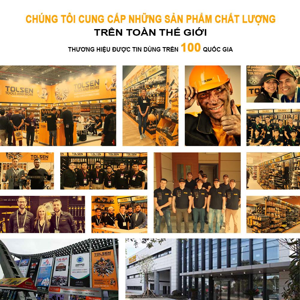 Kìm Mỏ Quạ 10" ( 250mm ) Tolsen 10014
