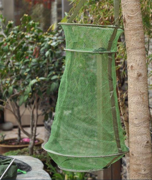 Rổ đựng cá có dây buộc