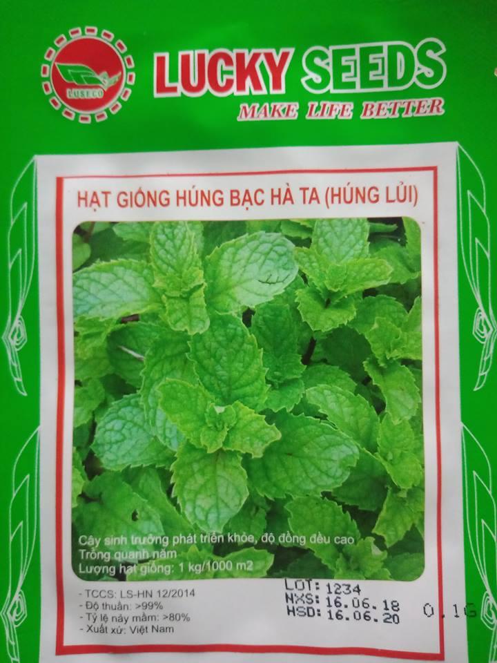 Hạt giống Húng Bạc Hà Ta ( Húng Lủi)-0.1gr