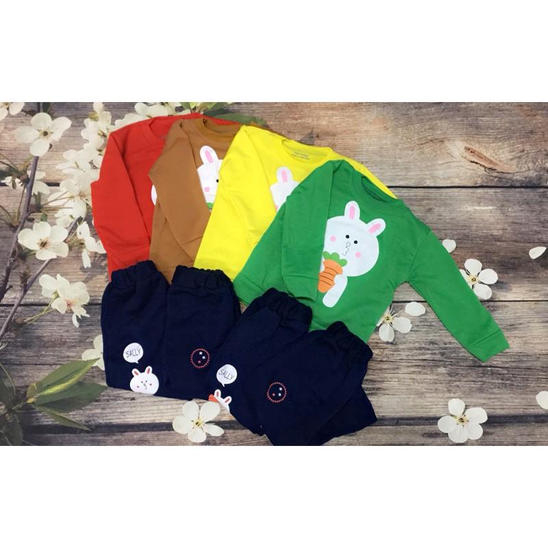 Bộ  thỏ gặm cà rốt cho bé  -BK6