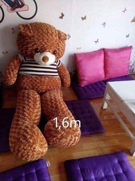 Gấu Bông Teddy Khổ Vải  1m6