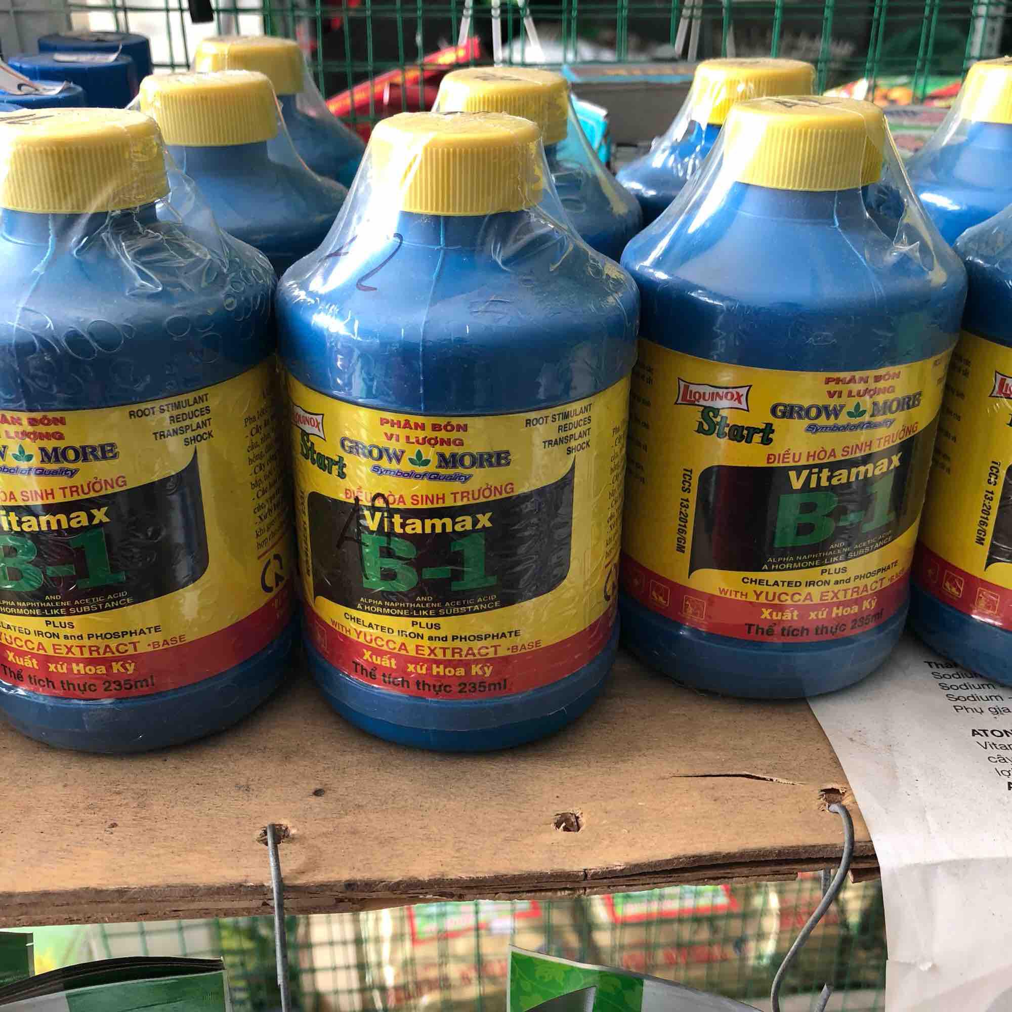 Vitamin B1 grow more 235ml