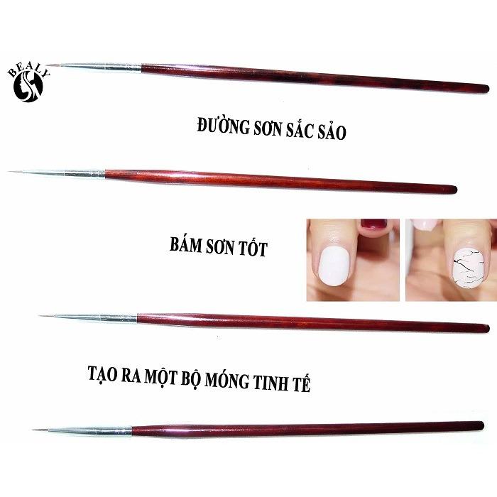 CỌ RÂU VẼ MÓNG CÁN GỖ SƠN ĐỎ
