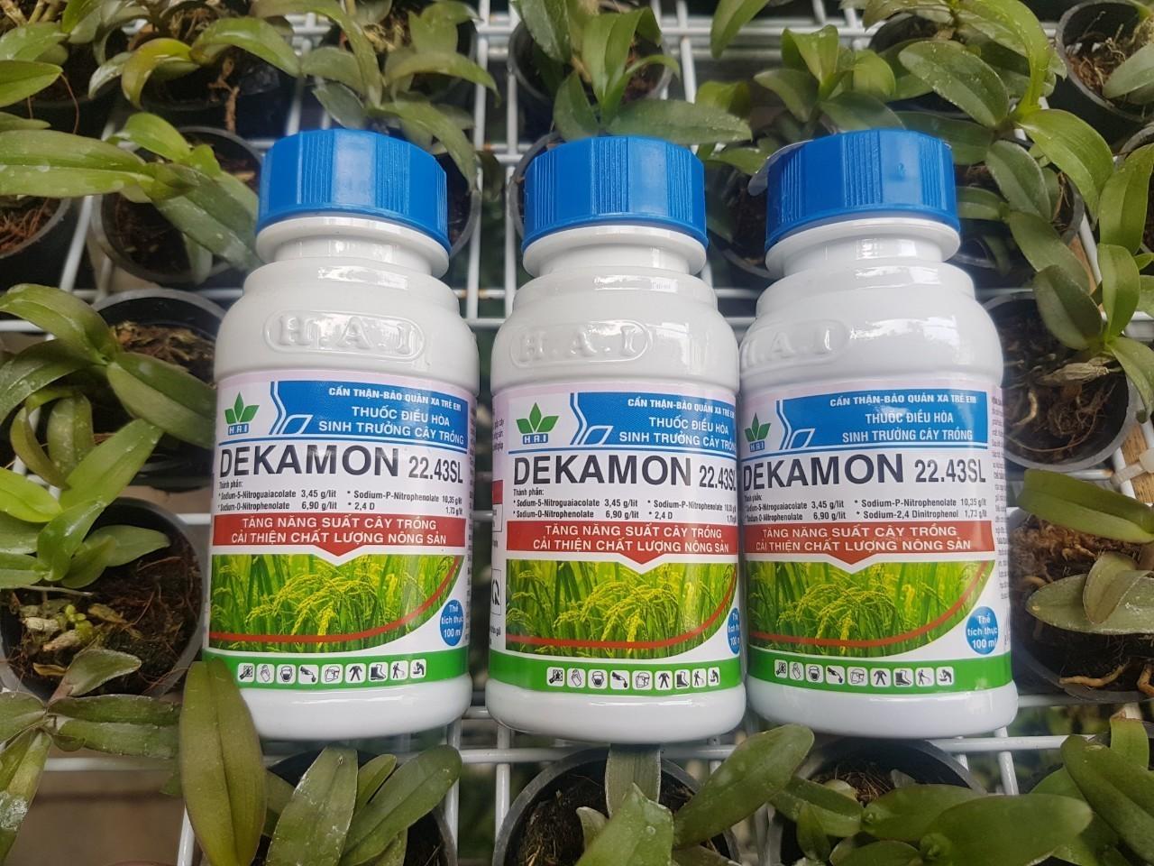 DEKAMON CHO LAN – SIÊU TĂNG TRƯỞNG