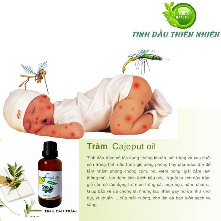 [HCM]Bộ 2 trai tinh dầu tràm gió 10ml