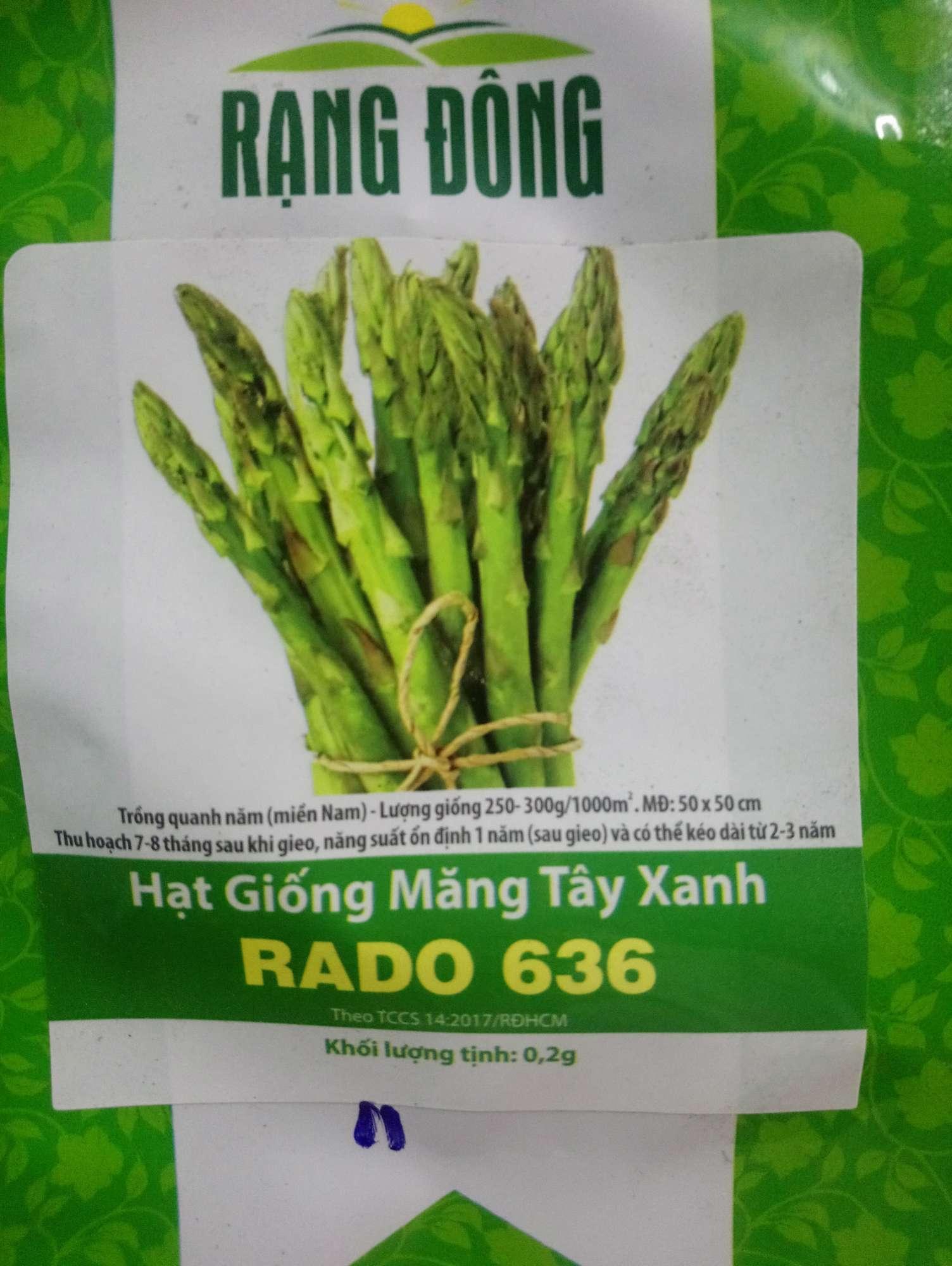 Hạt giống măng tây xanh