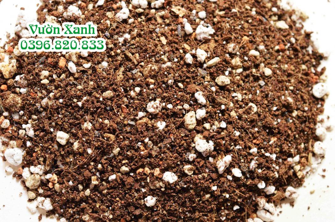 Đá Vermiculite giá thể trồng cây: sạch, nhẹ, giữ ẩm tốt, trộn giá thể trồng sen đá, xương rồng, bonsai  túi 8dm