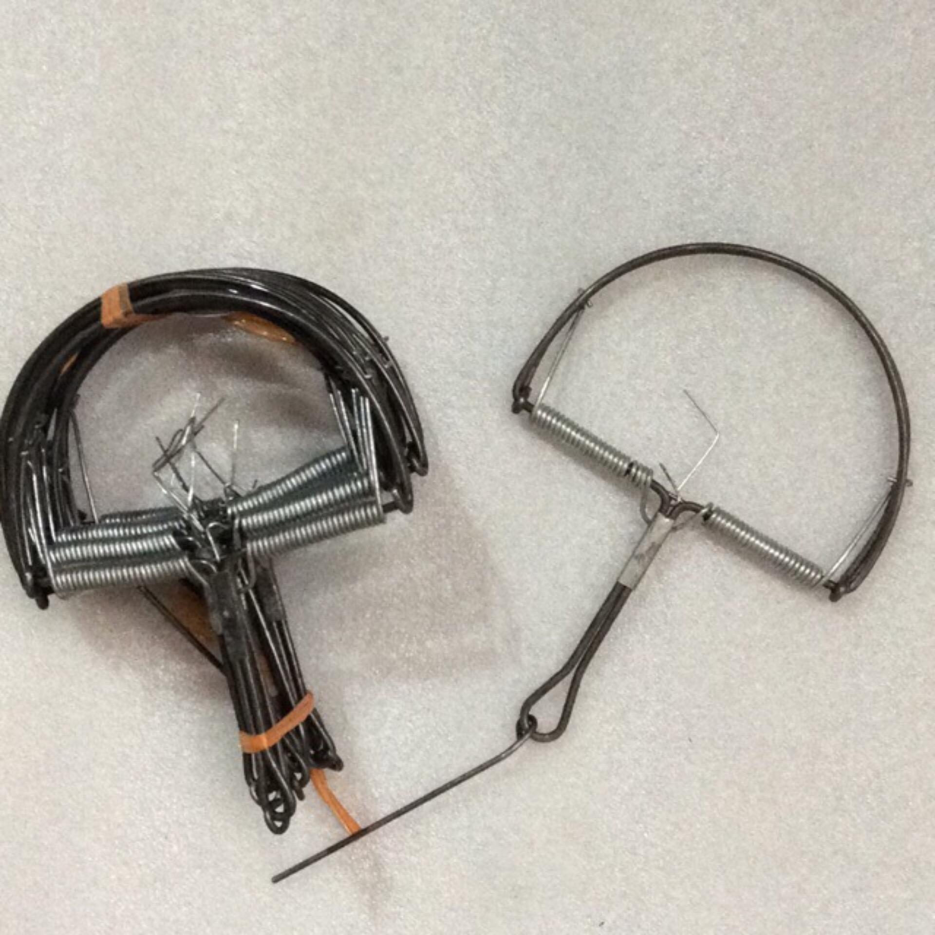 Bẫy chuột bán nguyệt có sử dụng mồi cỡ to