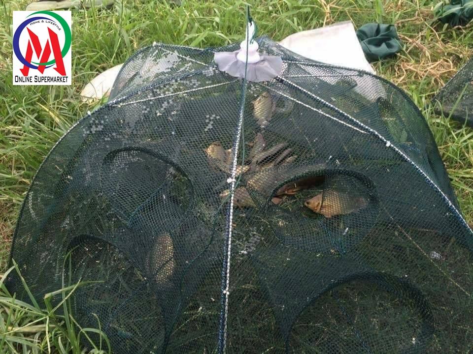 [HCM]Lưới bát quái