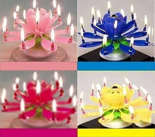 Nến sinh nhật 3D nở hoa, phát nhạc,