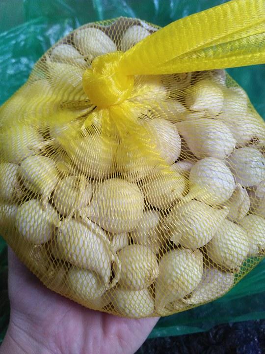 TỎI CÔ ĐƠN CHÍNH GỐC LÝ SƠN ( 1KG )