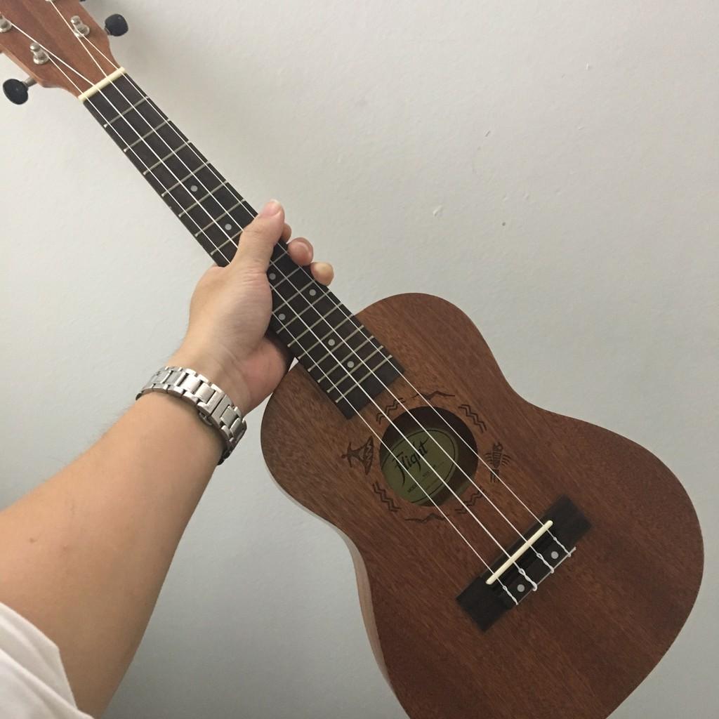 Đàn Ukulele Concert Flight