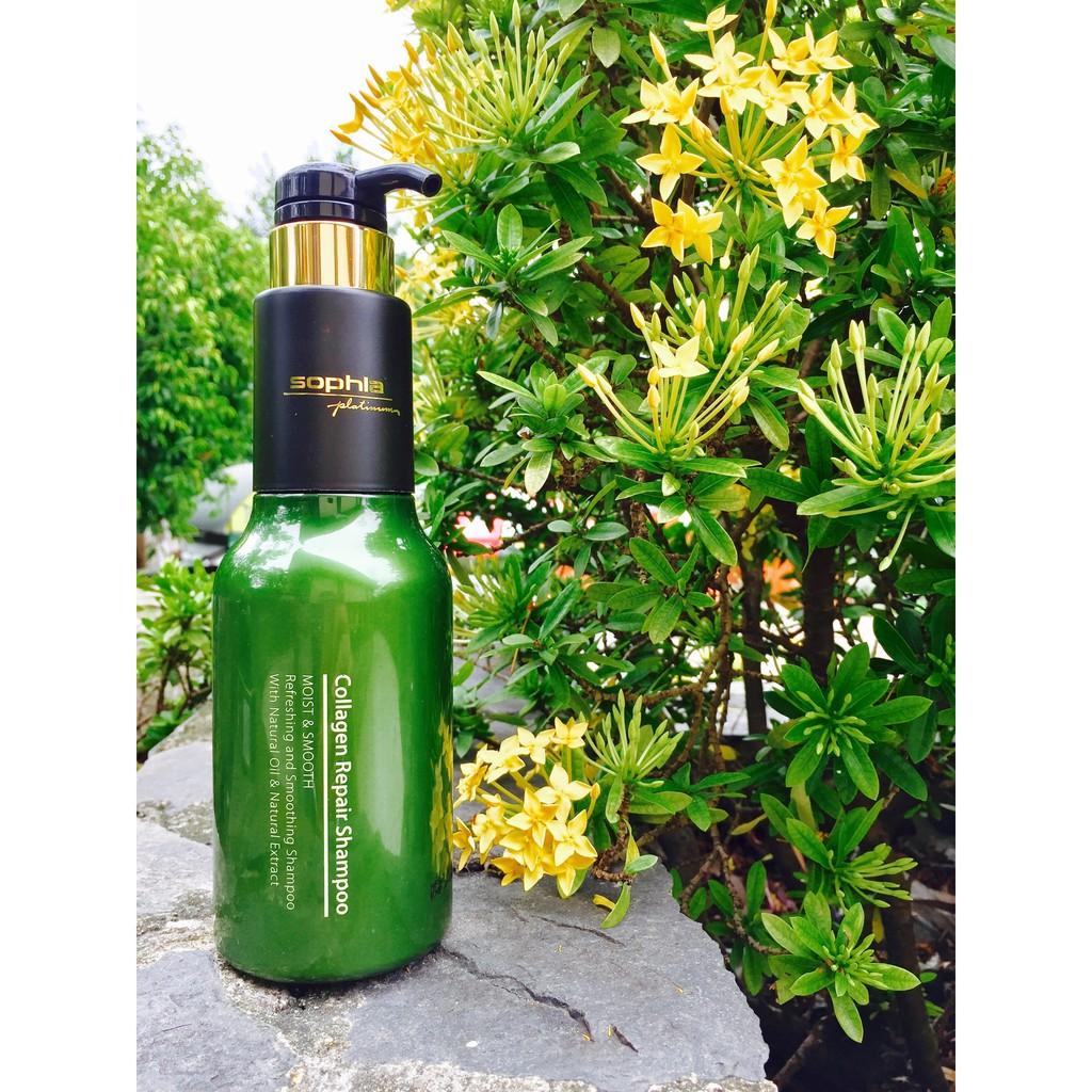 Dầu gội phục hồi tóc Collagen Repair Sophia Platinum 500ml