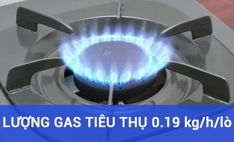 [HCM]Bếp gas dương Rinnai RV-150(G)