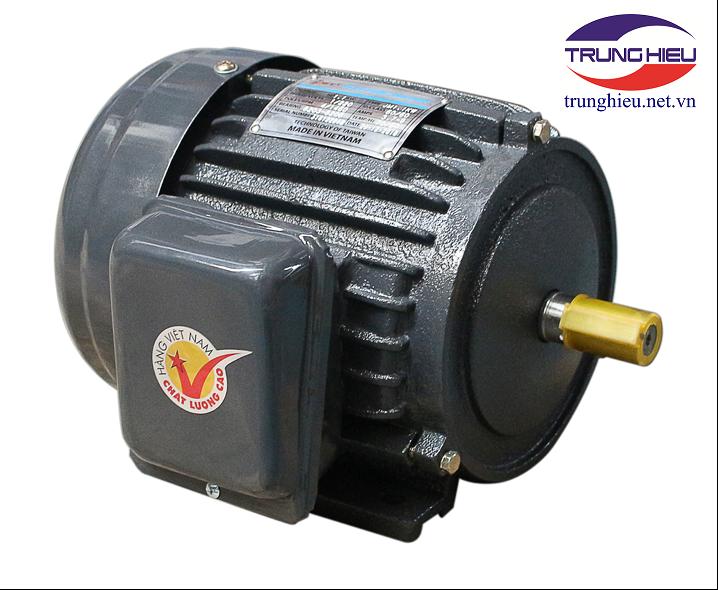 Motor vỏ gang chân đế Hồng Ký - JET 2.2KW