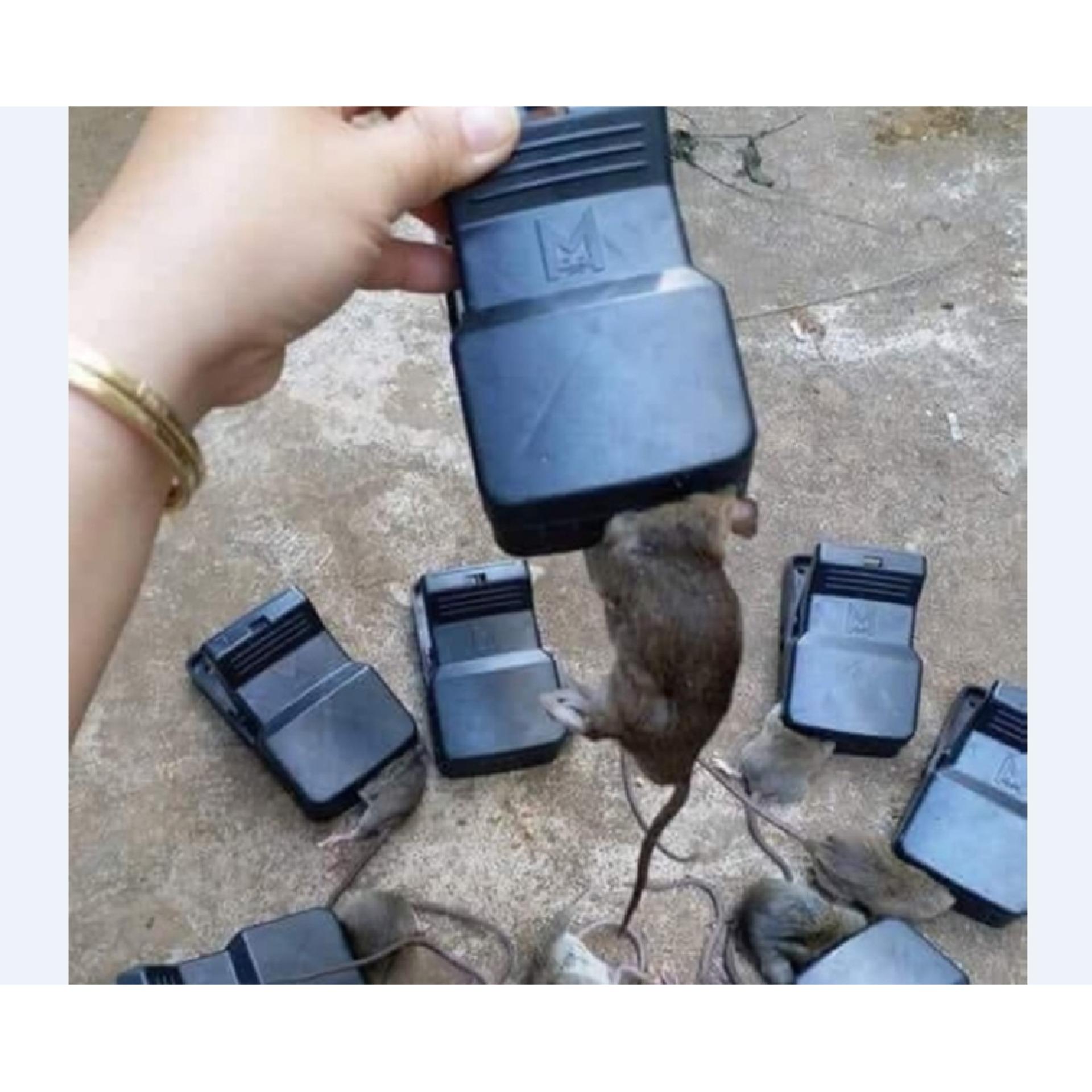 KẸP BẪY CHUỘT THÔNG MINH- kẹp chuột