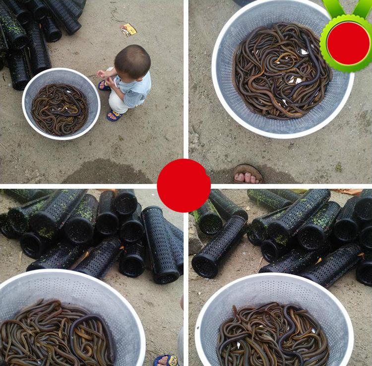 Combo 5 Ống Trúm Bắt Lươn đa năng