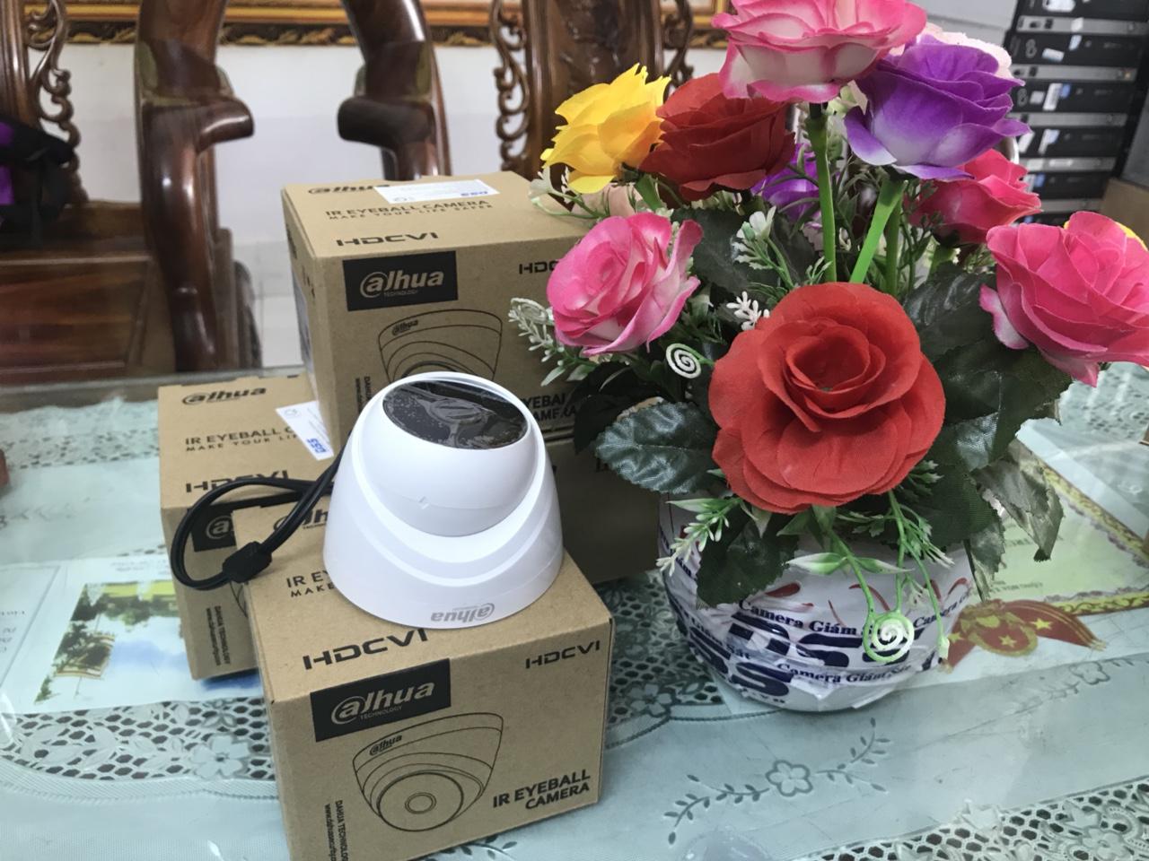 Camera DH-HAC-T2A21P