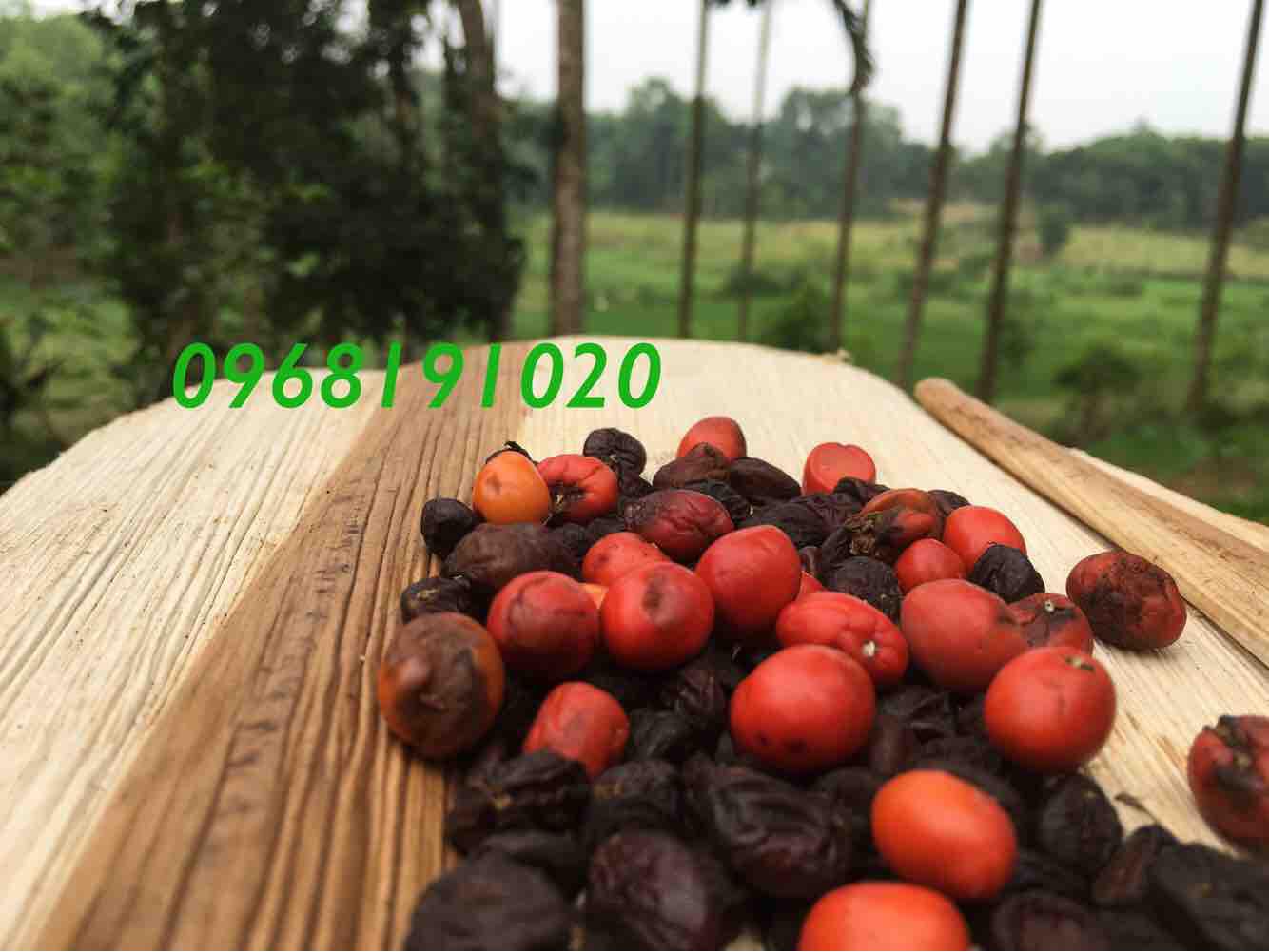 300g mắc khén + 100 hạt dổi = 180k