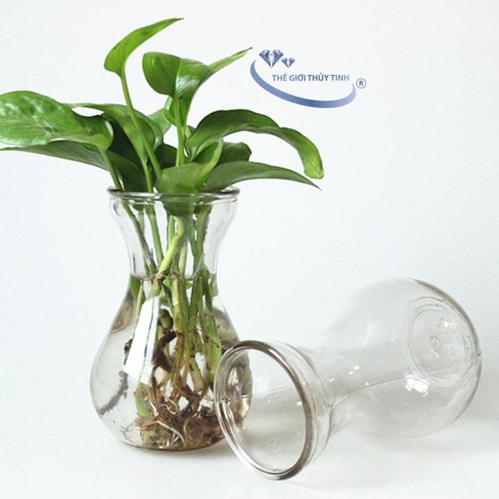 Bình Bông Lọ Hoa Thủy Tinh Miệng Loe