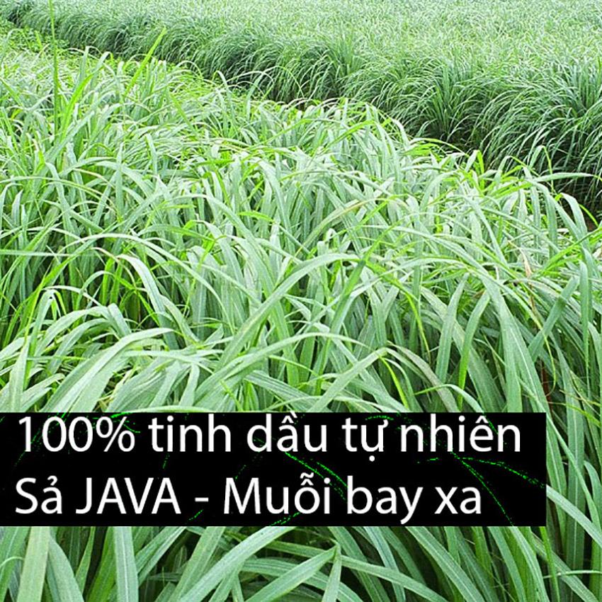 [HCM]Tinh dầu Sả Java 10ml nguyên chất OmFountain