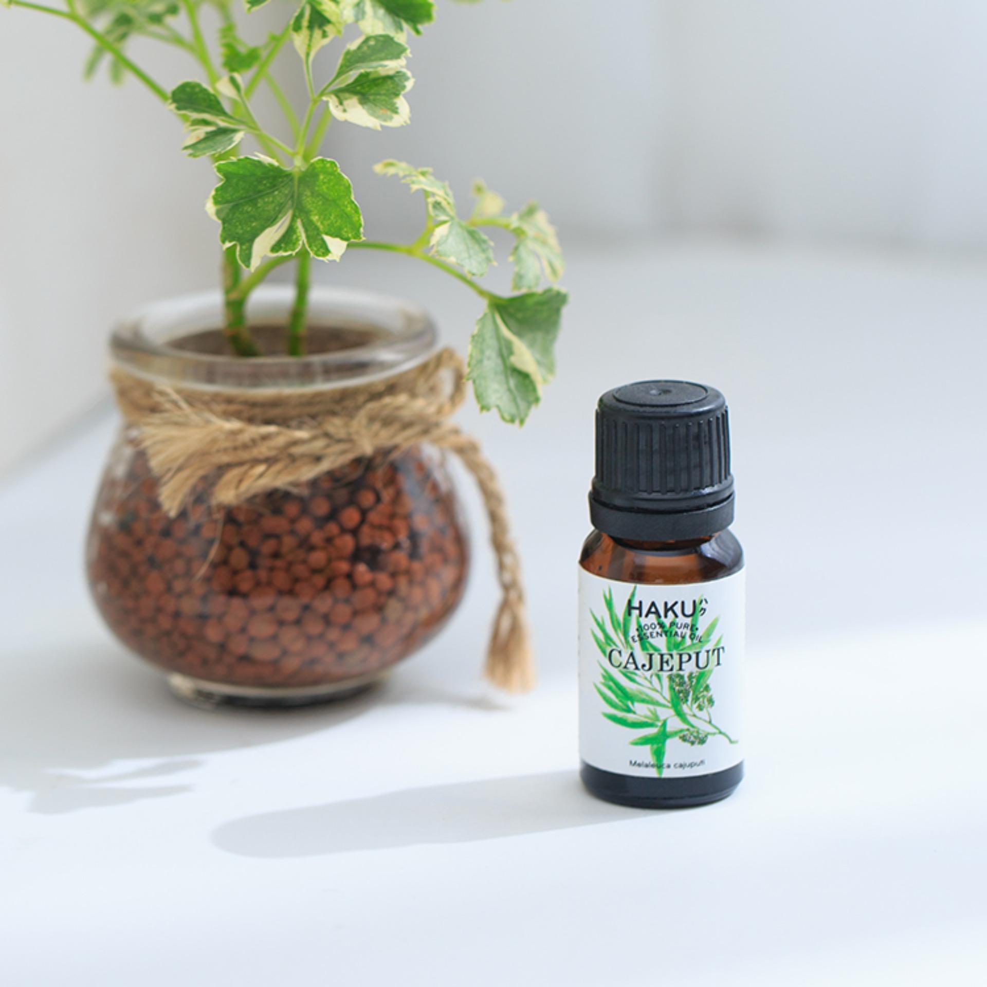 Tinh Dầu Tràm Gió HAKU 10ml