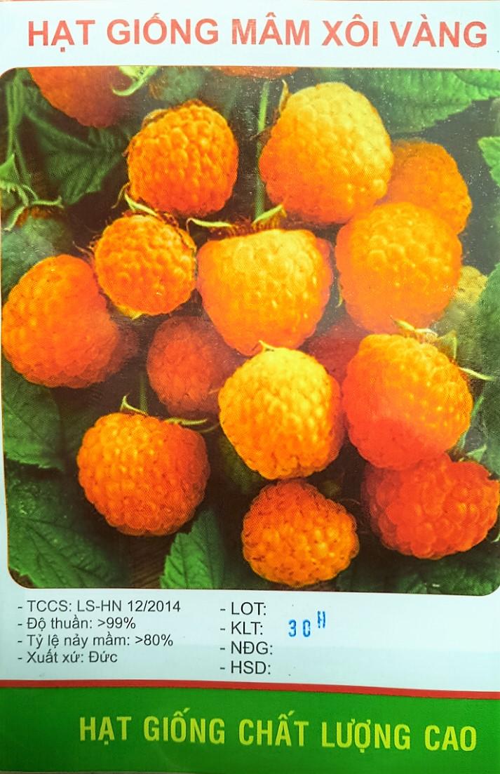 [HCM]Hạt Giống Mâm Xôi  Vàng  - KLT 30hat/gói .