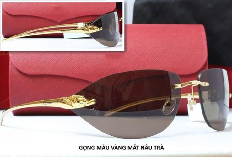 KÍNH NAM GỌNG BÁO BÒ