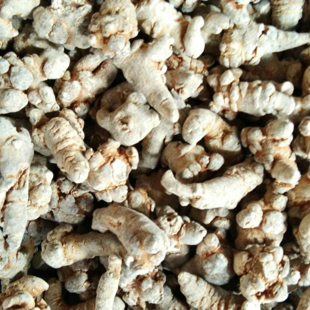 500g củ tam thất bắc
