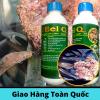 2 chai dịch trùn quế đậm đặc eel q cho lươn, cá và baba  1 lít chai - ảnh sản phẩm 6