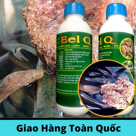 2 chai dịch trùn quế đậm đặc eel q cho lươn, cá và baba  1 lít chai - ảnh sản phẩm 6