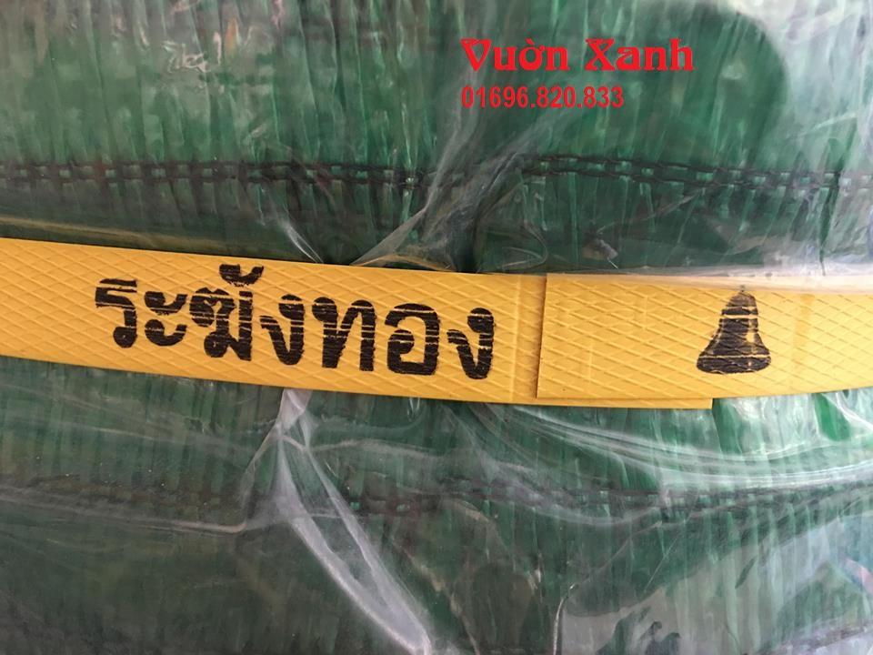 Combo 30 m Lưới che nắng NK Thái Lan 60% màu xanh