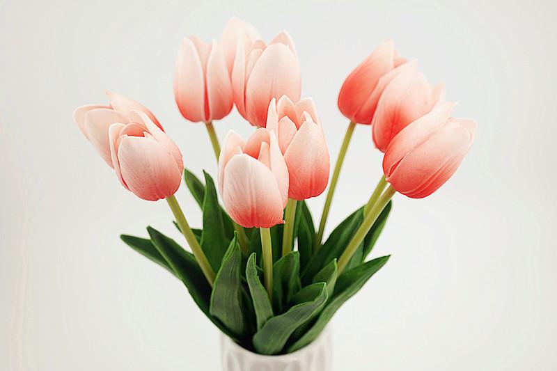 Combo 10 cành hoa tulip silicon trang trí siêu đẹp, cành dài 32cm