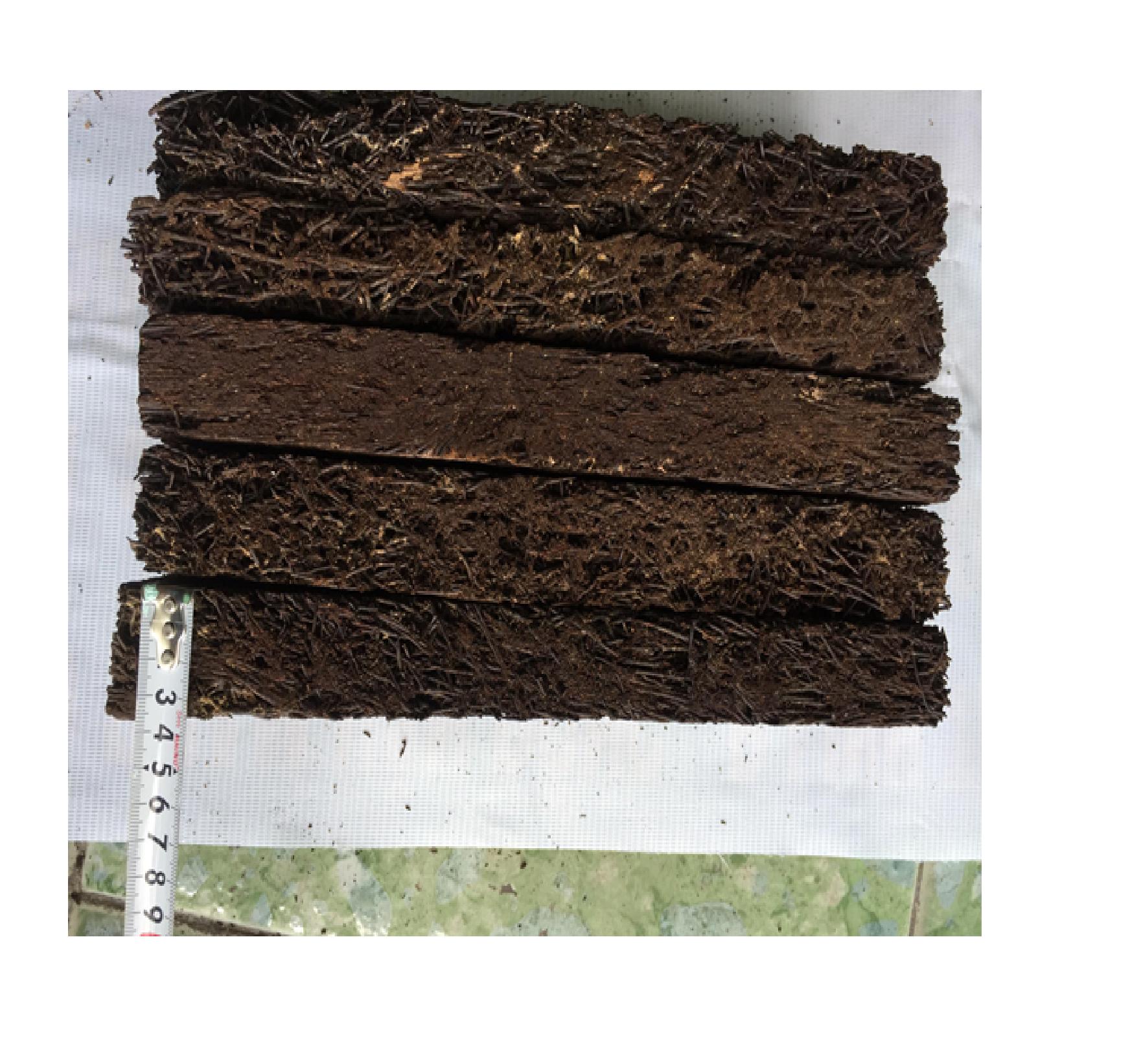 05 bản Dớn 20cm x 20 cm trồng lan