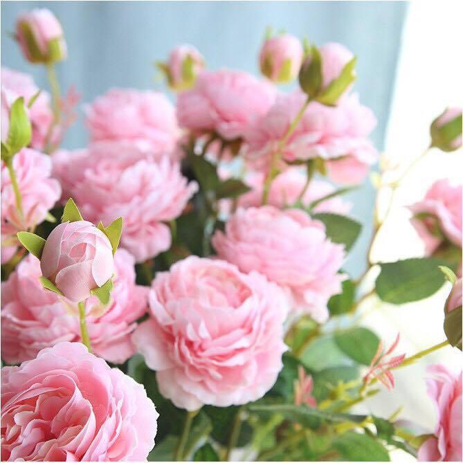 Combo 5 pink flower branches silk noble island sheer đẹp-hoa high imitation cấp-hoa pink silk giả-cây flower giả-hoa imitation