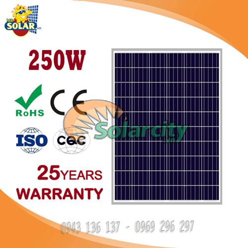 Pin Năng Lượng Mặt Trời Poly 250w World Energy