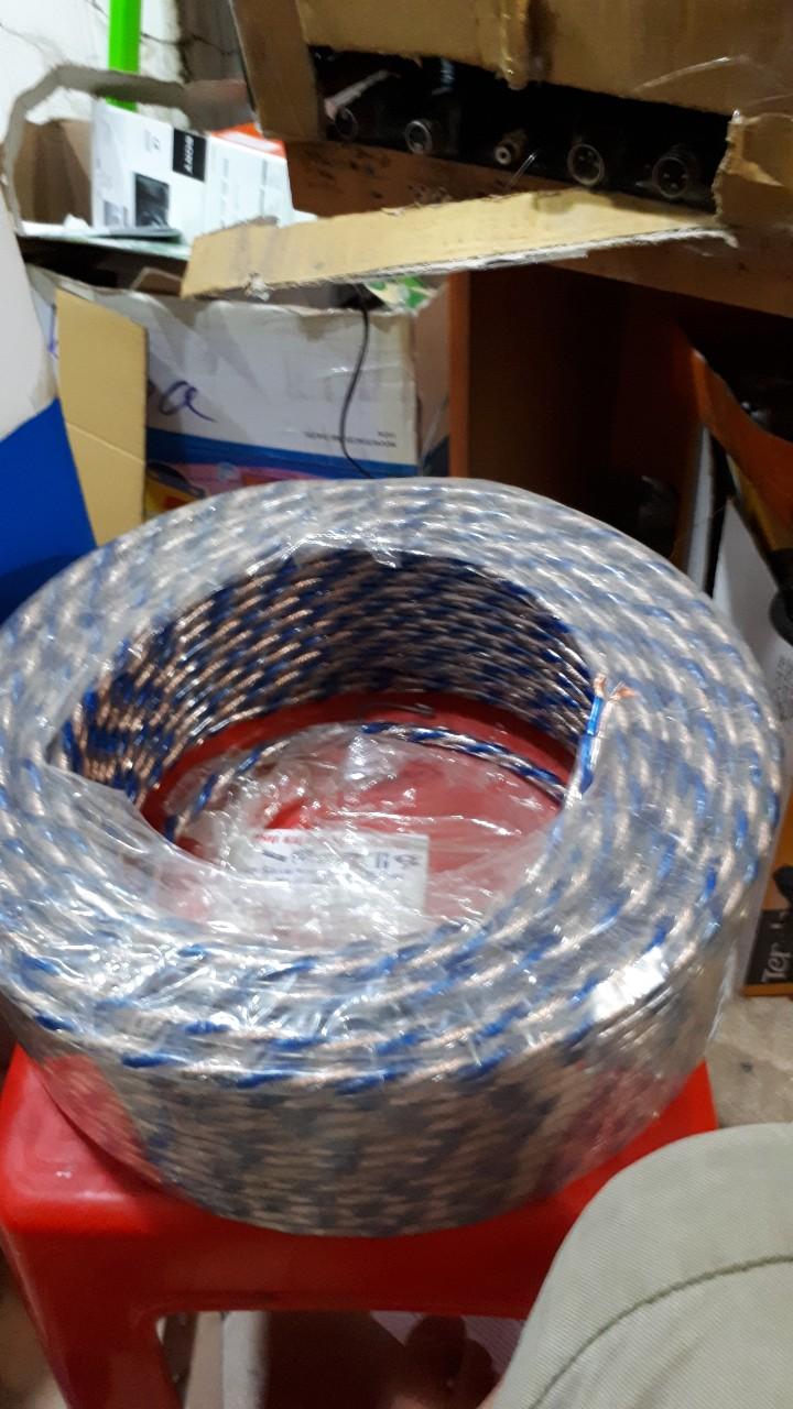 4 mét Dây loa  loại tốt 600 tim ( 300 sợi đồng nhỏ mỗi bên ) LiTon