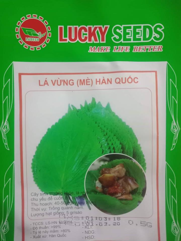 Hạt giống lá vừng (mè ) Hàn Quốc - 0.5gr