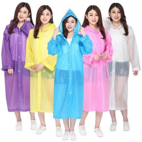 Bộ ngựa Pony 12 con giáp