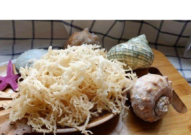 Rong Sụn - Rong Biển Trắng - 1kg