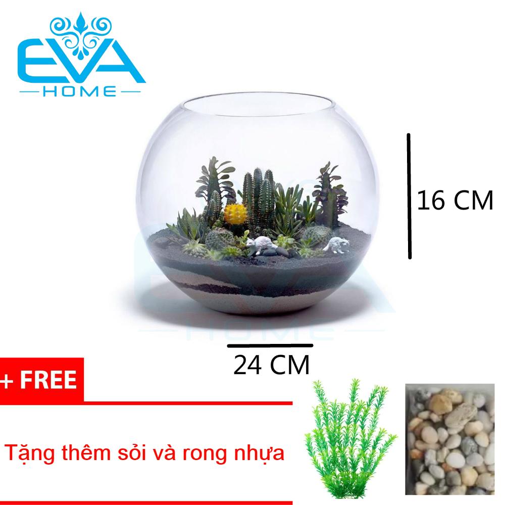 Bể cá chậu cây thủy tinh 24CMx16CM T02 ( Tặng kèm bịch sỏi và bịch rong biển )