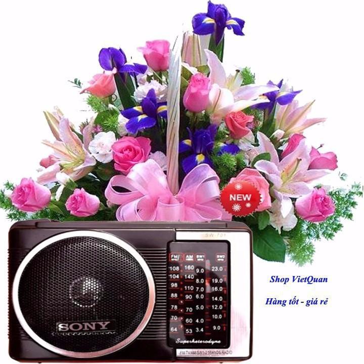 Đài Radio S0ny SW-702
