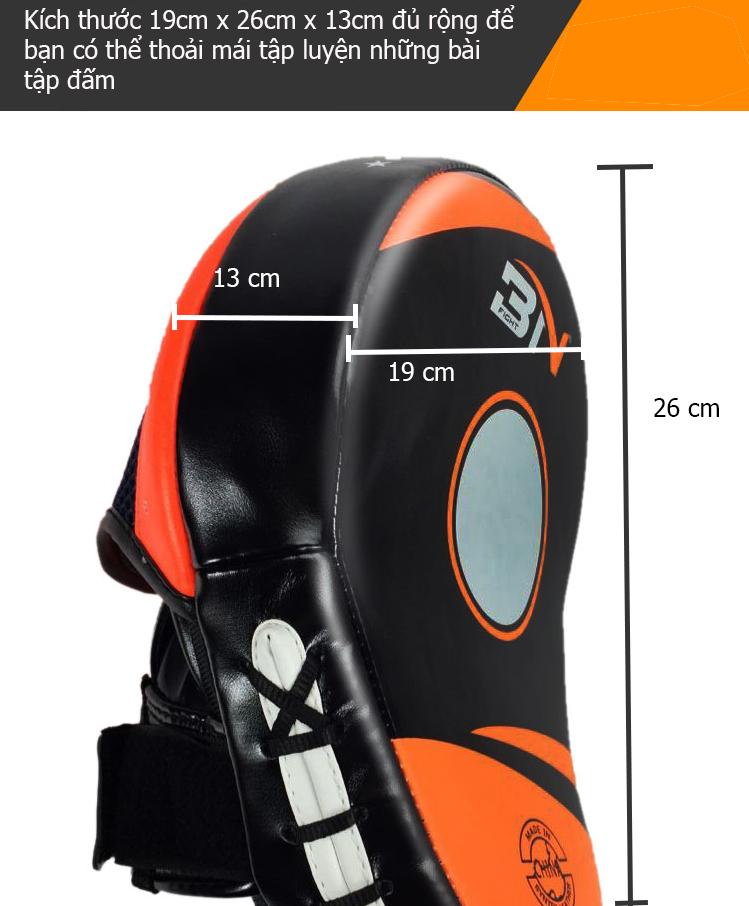 Đích đấm BN cao cấp 10ĐĐ009 (1 cái)